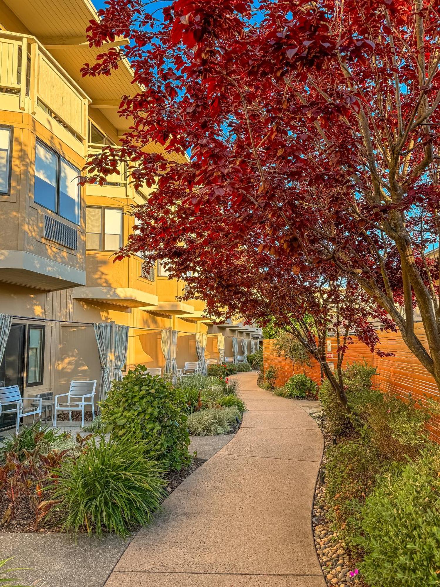 The Lodge At Tiburon Extérieur photo